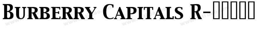 Burberry Capitals R字体转换